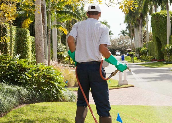 About Boyne Falls MI Pest Control